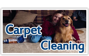 cleaning carpets