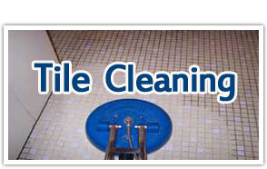tile cleaners